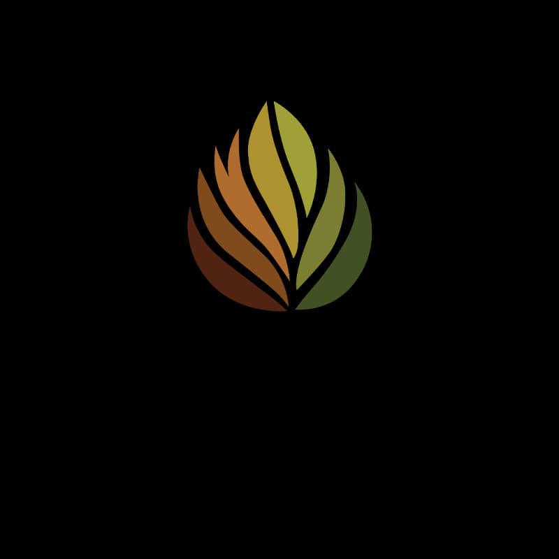 Ayura